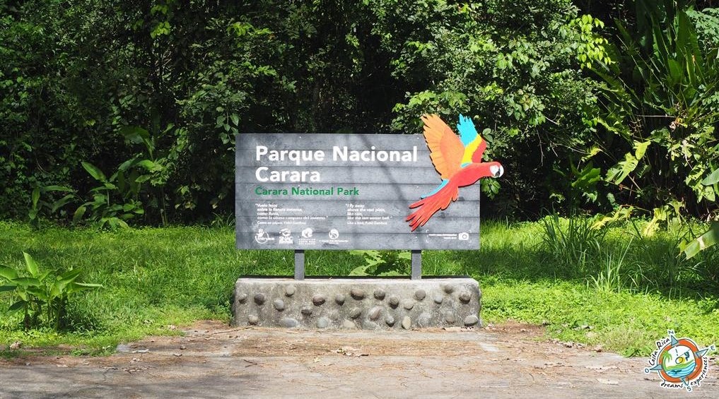 Parque Nacional Carara